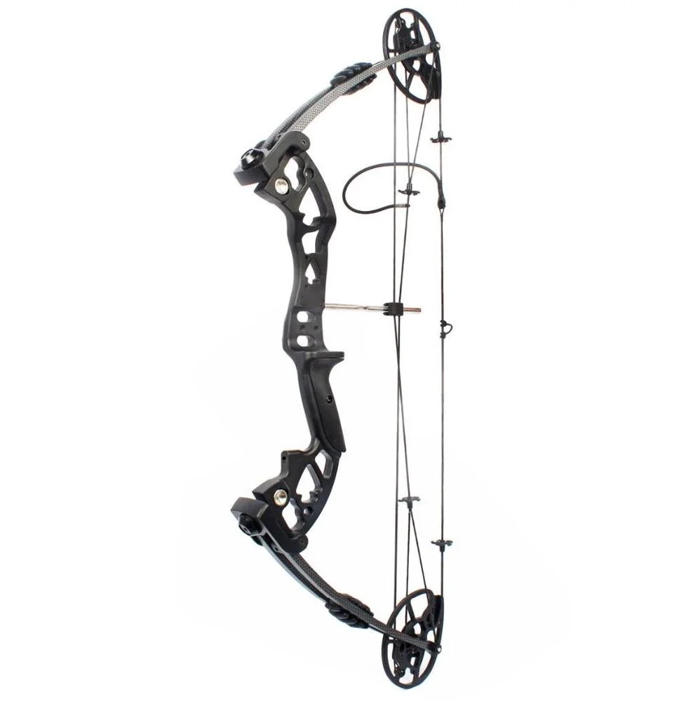 M120 컴파운드 보우 신형 CNC 캠 조절식 사냥용  - Hunting Bow Compound 리뷰 및 가격