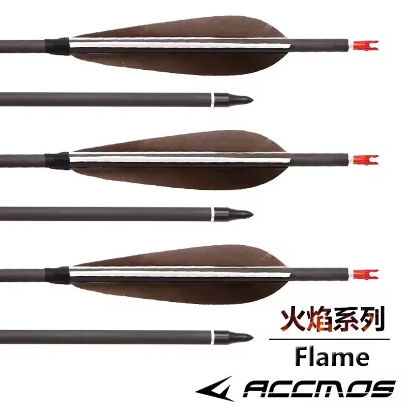 ACCMOS 순수 탄소 화살, ID6.2 mm 척추 2 - Hunting Bow Compound 리뷰 및 가격