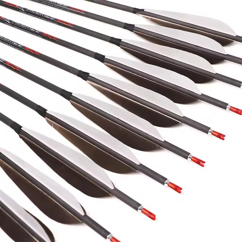 ACCMOS 순수 탄소 화살, ID6.2 mm 척추 2 - Hunting Bow Compound 리뷰 및 가격